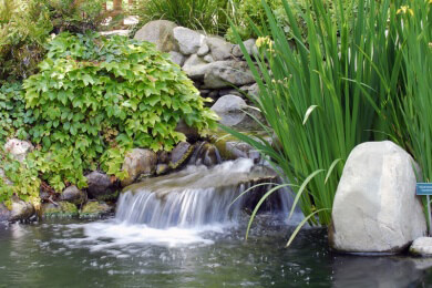 Rund um den Gartenteich - Arten, Planung, Gestaltung und Tipps zum Anlegen
