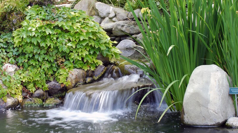 Beim Anlegen eines Gartenteichs hat man die Wahl zwischen verschiedenen Arten - selbst auf kleinstem Raum kann man sich an einem Miniwasserbecken erfreuen