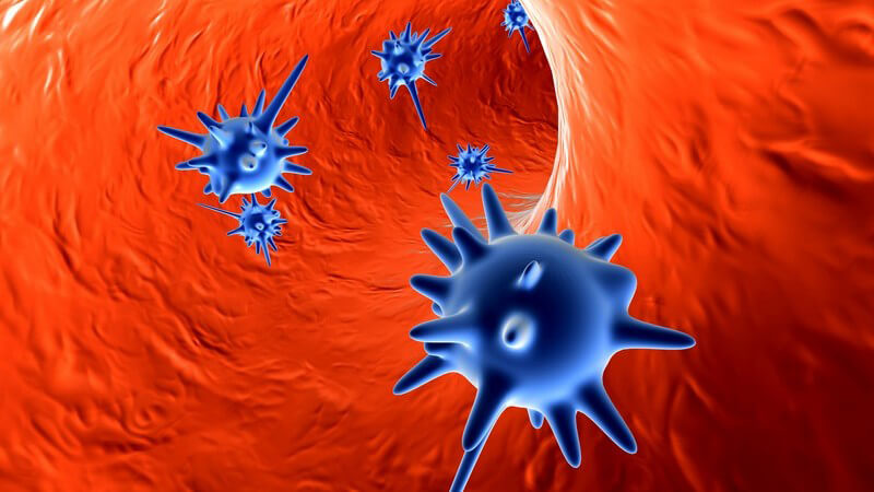 Wissenswertes zur Infektion mit dem Norovirus