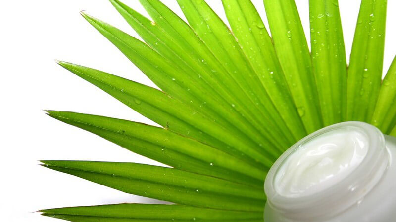 Für die eigene Salbe nutzt man eine Aloe Vera Pflanze; möglich ist aber auch die Verwendung eines Konzentrats - zudem benötigt man mitunter Pflanzenöl oder Bienenwachs