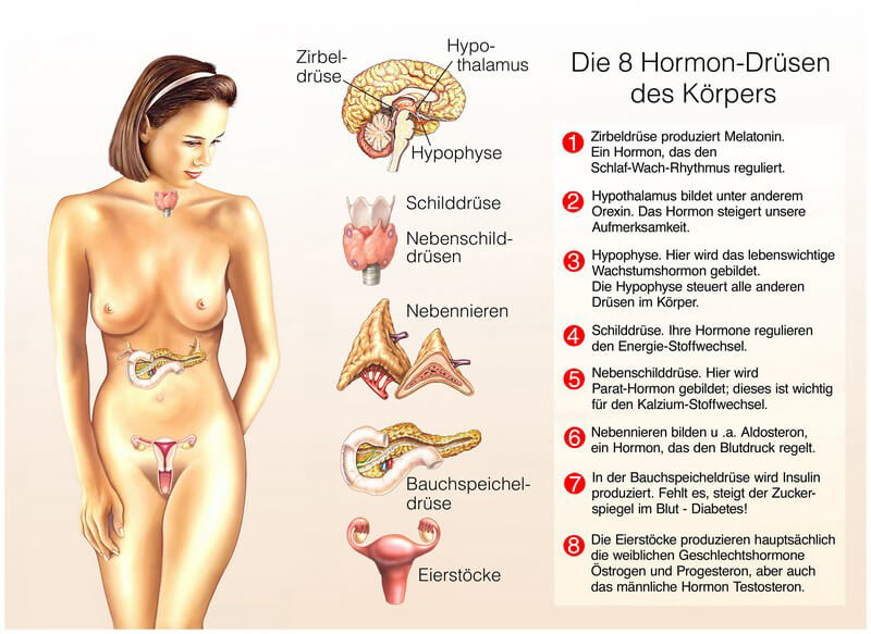 Entzündung bartholinische drüse Bartholinische Drüse