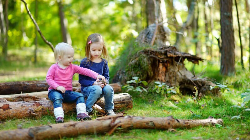 Zusammen mit seinem Kind den Wald erforschen
