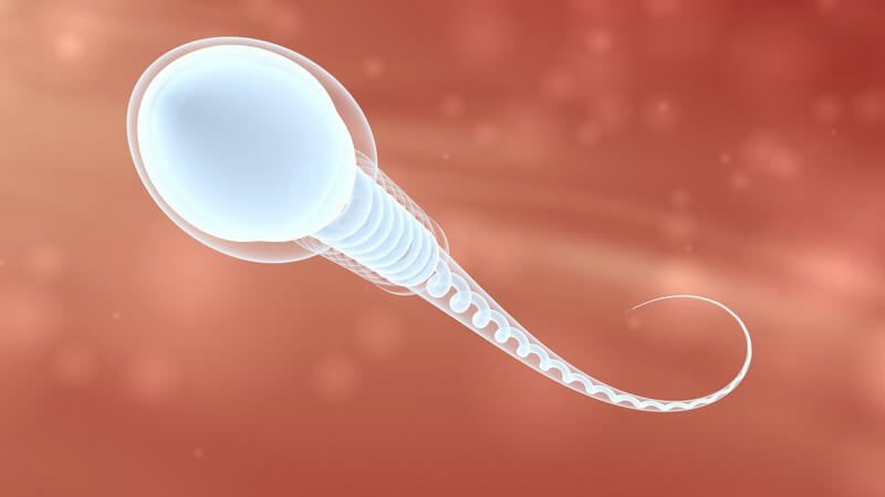 Wie manche Gleitmittel die Spermienqualität beeinträchtigen und sich negativ auf die Zeugungsfähigkeit des Mannes auswirken können