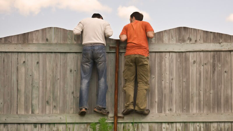 Um im Garten für mehr Privatsphäre zu sorgen, gilt es, den passenden Sichtschutz zu finden - Es können Zäune oder Mauern gebaut werden und auch Pflanzen übernehmen diese Aufgabe