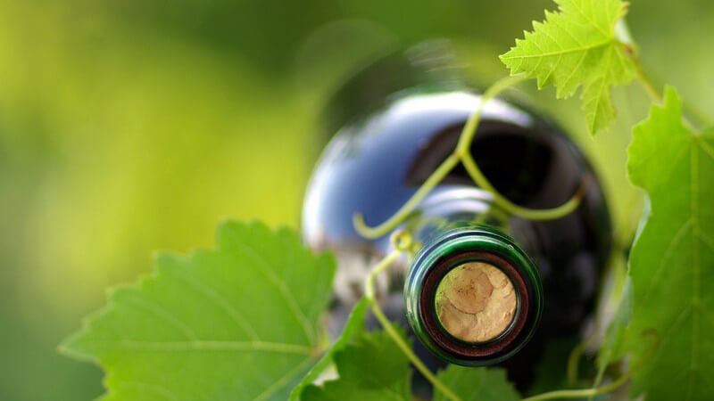 Wein aus ökologischem Weinanbau unterliegt strengen Richtlinien