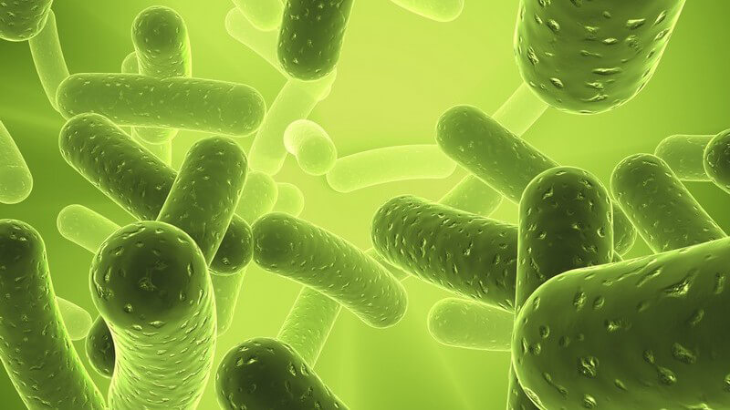 Bakterien in den Körper gelangen und wo sie nützlich sind