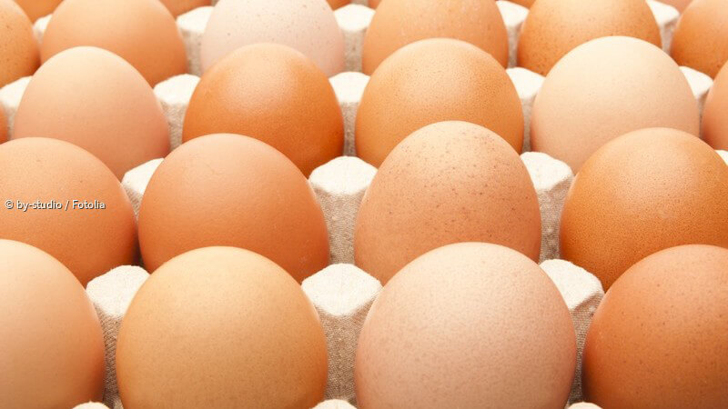 ᐅ Eier - Was macht sie gesund und wie viele sollte man essen?