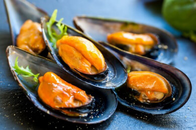 Muscheln - Wie gesund sind sie und welche Risiken gibt es?