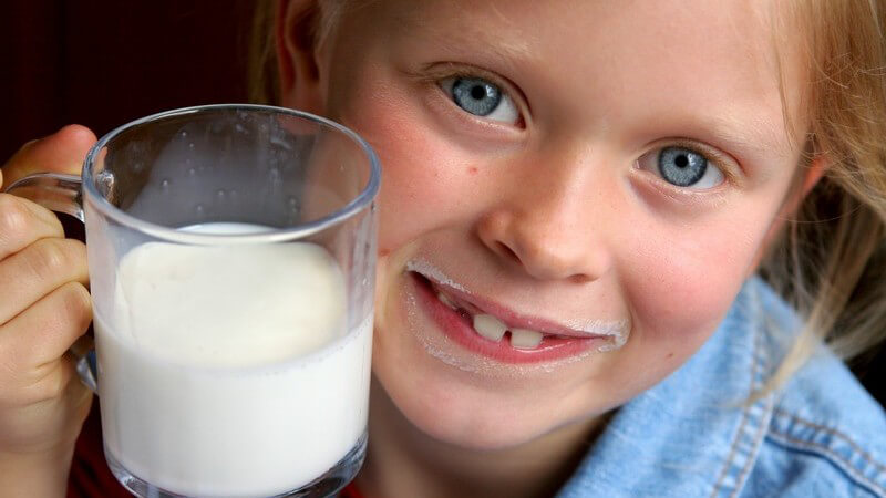 Milchgetränken sind in vielen Fällen gesünder, wenn man sie selbst herstellt