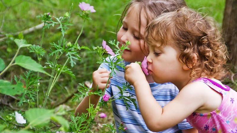 Der Garten lässt sich auch für Kinder interessant gestalten - wer zudem einige Sicherheitsaspekte beachtet, kann für seinen Nachwuchs ein wahres Spielparadies gestalten