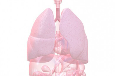 Air Trapping beim Tauchen, verschiedene Lungenerkrankungen oder Rippenfellentzündungen als mögliche Ursachen eines Lungenrisses