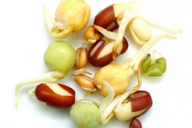 Sprossenarten (Keimlinge) - Was macht sie so gesund und welche Sorten sind besonders beliebt?