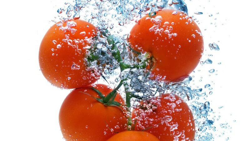 Für die Zubereitung von Tomatenmark sollten überreife Tomaten gewählt werden; diese erhält man am einfachsten aus dem eigenen Garten