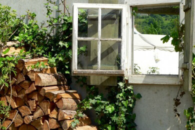 Holzwurmbefall vermeiden - Tipps zur richtigen Holzlagerung und Hinweise zu den Brenneigenschaften
