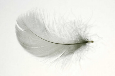 Wer seine Haare zum Hingucker machen möchte, sollte sich Feder-Extensions oder Extensions in knalligen Farben anschaffen