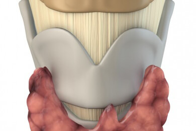 Schilddrüsenüberfunktion - Ursachen, Symptome und Behandlung