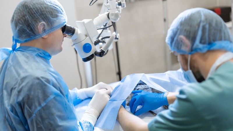 Augenarzt und Anästhesist bei einer Augenoperation