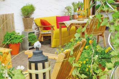 Die richtige Bepflanzung für Balkon und Terrasse - Pflanzen- und Pflegetipps für jede Jahreszeit