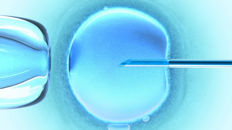 Wenn sich das eigene Immunsystem gegen die Ei- oder Samenzellen richtet