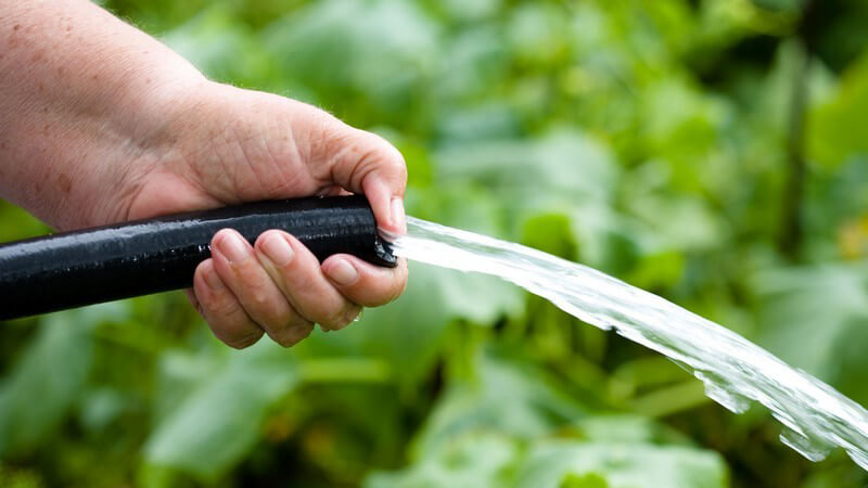 Um Algen im Gartenschlauch zu vermeiden, sollte dieser stets vom Restwasser befreit werden - auch eine hängende Aufbewahrung kann helfen