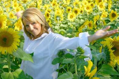 Sonnenblume in der Natur, Heilkunde, Küche und Naturkosmetik