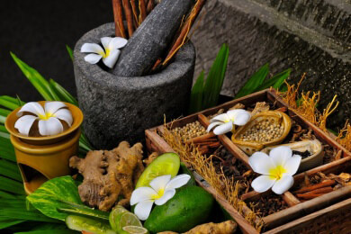 Zitronengras in der Natur, Heilkunde, Küche und Kosmetik