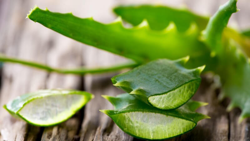Aloe, echte