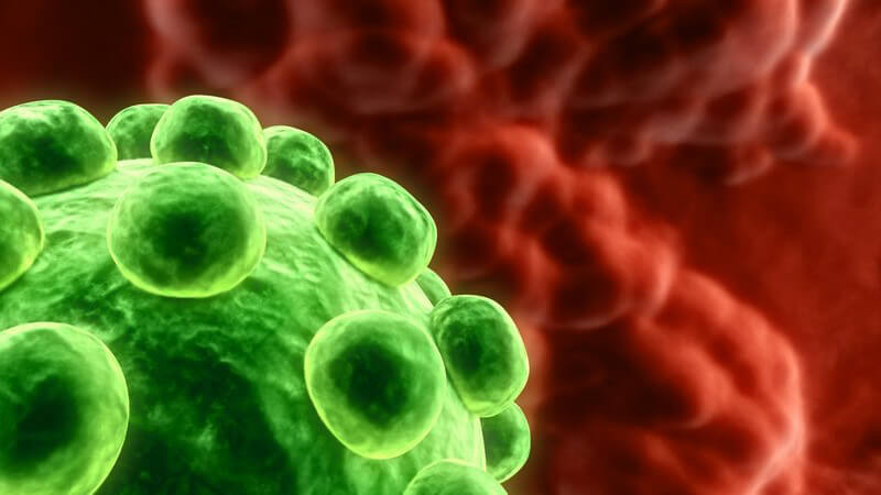 Infektion der Haut und Schleimhaut mit dem humanen Papillomvirus