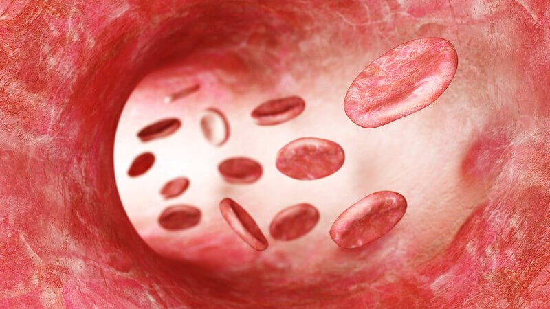 Erhöhte Hämoglobinkonzentration durch zu viele rote Blutkörperchen