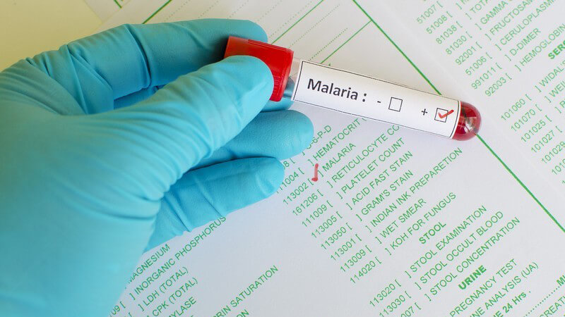Malaria und ihre Vorbeugemöglichkeiten