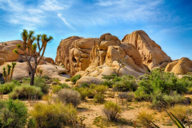 Nationalparks