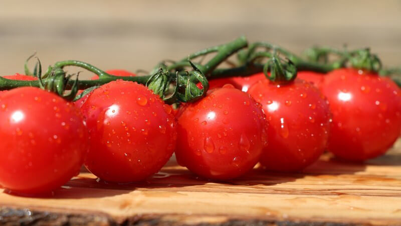 Tipps zur Aufbewahrung von Tomaten