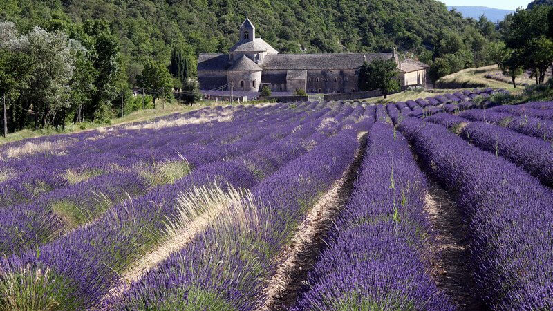 Tipps für einen Entspannungsurlaub in Frankreich