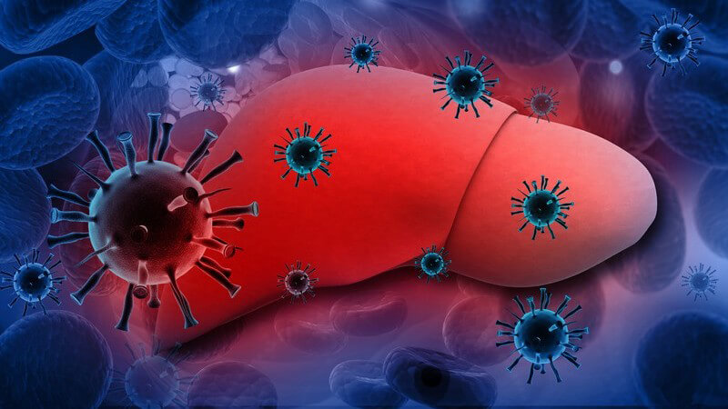 Wissenswertes zur Impfung gegen Hepatitis B