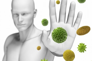 Nahrungsmittel für ein starkes Immunsystem