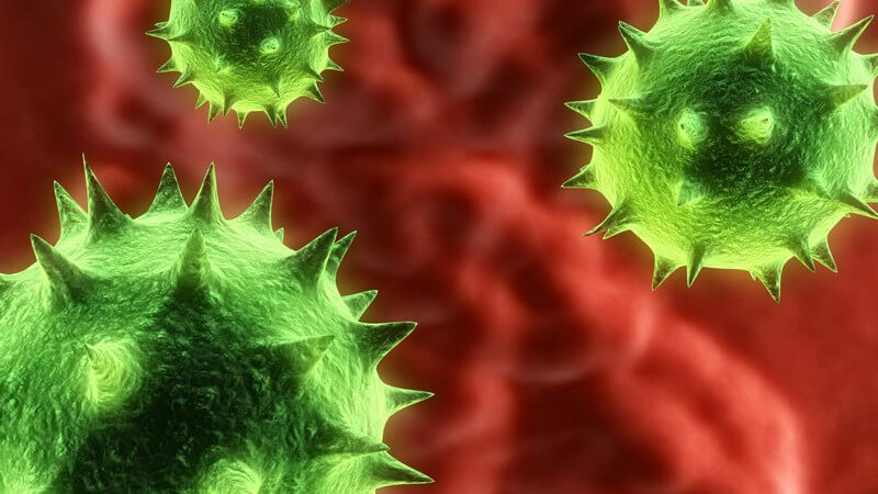 Eine Übersicht über behüllte Viren