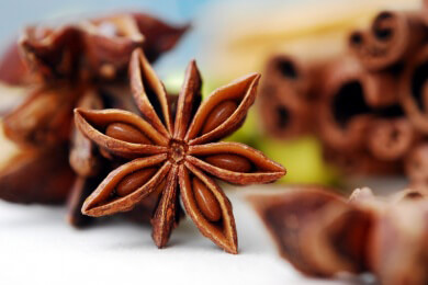 Anis in der Natur, Heilkunde und Küche sowie als Duft