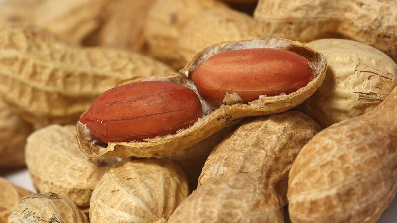 Erdnüsse lassen sich vielfältig verwenden, z.B. als Erdnussbutter, gesalzen als Snack, als Erdnussflips oder als Öl