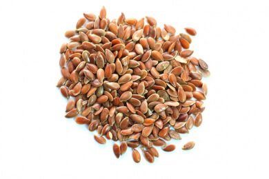 Leinsamen - Anbau, Inhaltsstoffe und Verwendungsmöglichkeiten