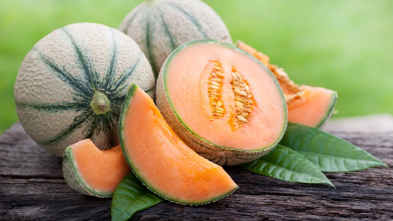 Charentais-Melone