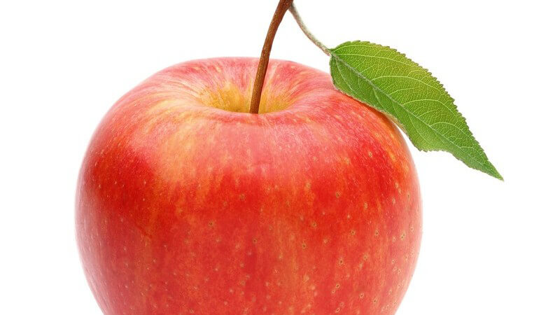 Gala-Äpfel sind sehr vielseitig einsetzbar und beliebt