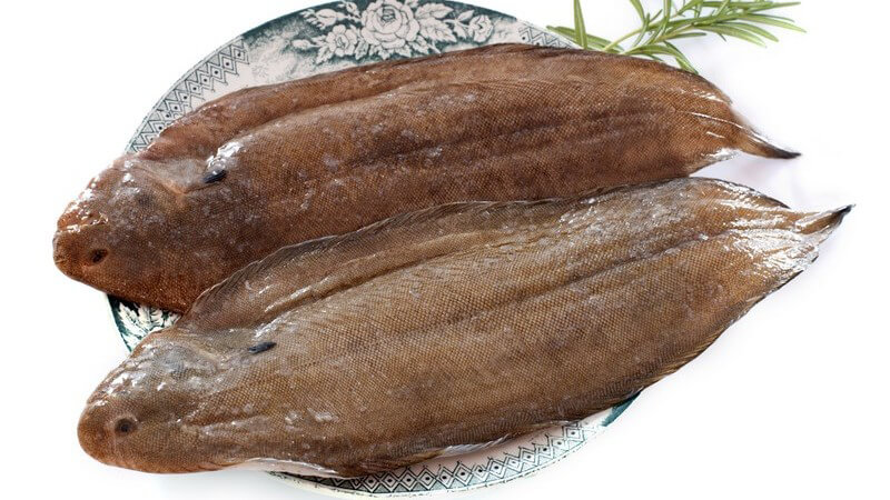 Dieser Fisch wird in der Regel gedünstet oder gebraten