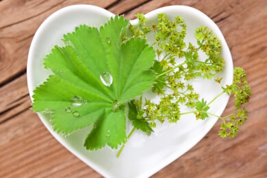 Hilft besonders gut bei Frauenleiden, Herzproblemen und Schlaflosigkeit