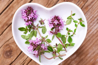 Hilft bei Asthma, Halsentzündung und Krampfhusten