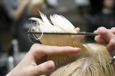 Wissenswertes zum Schneidekamm