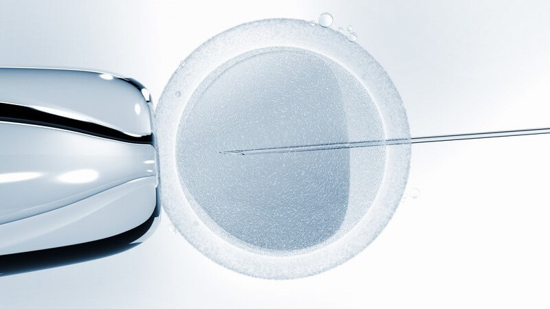 Voraussetzungen, Ablauf und Risiken der In-Vitro-Fertilisation und Unterschiede zur In-vitro-Maturation
