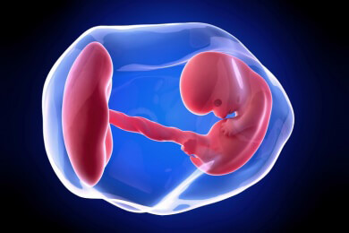 Weiterführende Informationen zur achten Schwangerschaftswoche - spätestens jetzt sollte ein Termin zur Schwangerschaftsvorsorge vereinbart werden