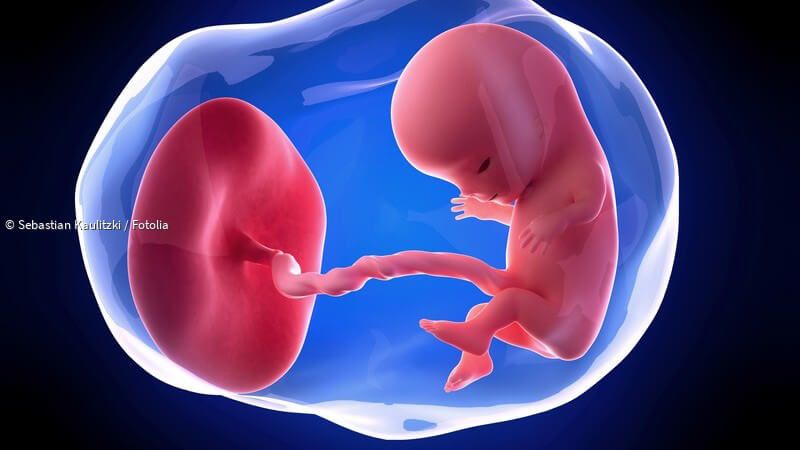 ᐅ 11. SSW - Mutter & Kind in der 11. Schwangerschaftswoche