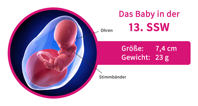 13-ssw-mutter-kind-in-der-13-schwangerschaftswoche