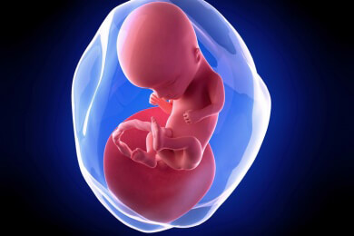 Weiterführende Informationen zur vierzehnten Schwangerschaftswoche - eine gesunde, kalziumreiche Ernährung ist jetzt besonders wichtig